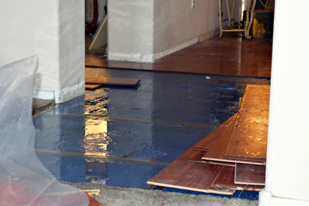 Professional Burst Pipe Cleanup technician working in Port Huron, MI