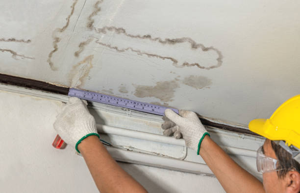Reliable Burst Pipe Cleanup contractor in Port Huron, MI by Local Water Damage Repair